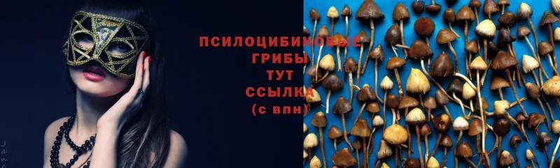 где купить наркоту  Нягань  Галлюциногенные грибы Psilocybe 